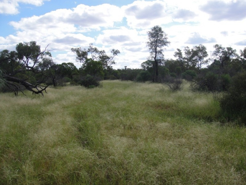 ” Cudgee “, Quilpie QLD 4480