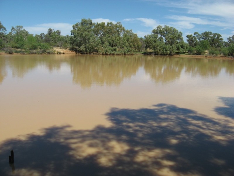 ” Cudgee “, Quilpie QLD 4480