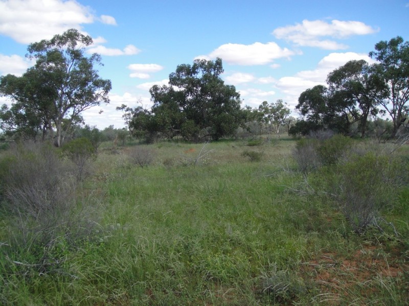 ” Cudgee “, Quilpie QLD 4480