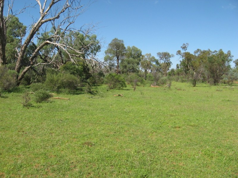 ” Cudgee “, Quilpie QLD 4480
