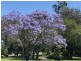 170 Blaxland Road, Dalby QLD 4405