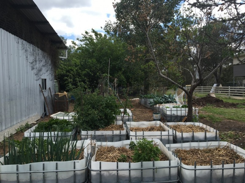 5 Wilson Street, Condamine QLD 4416