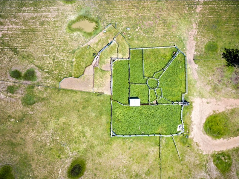 ” Adeena “, Hannaford QLD 4406