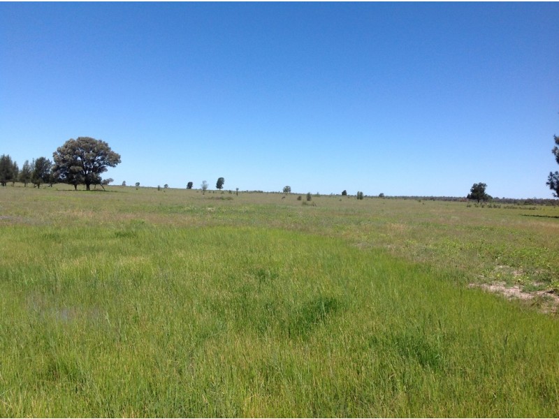 ” Adeena “, Hannaford QLD 4406