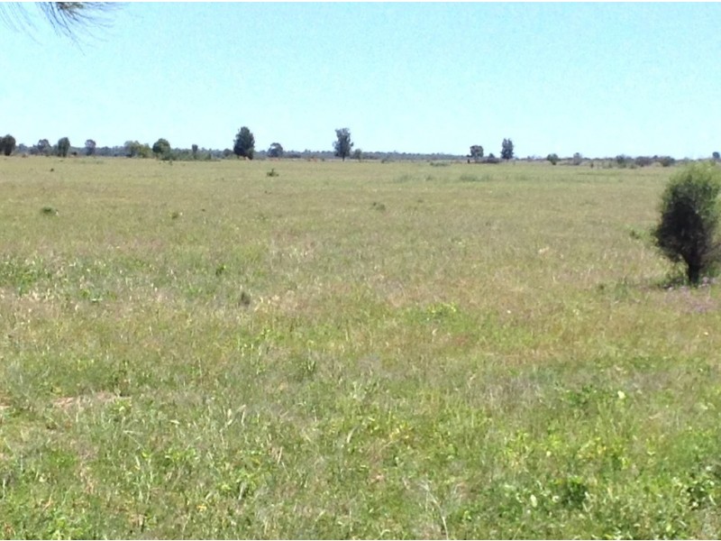 ” Adeena “, Hannaford QLD 4406