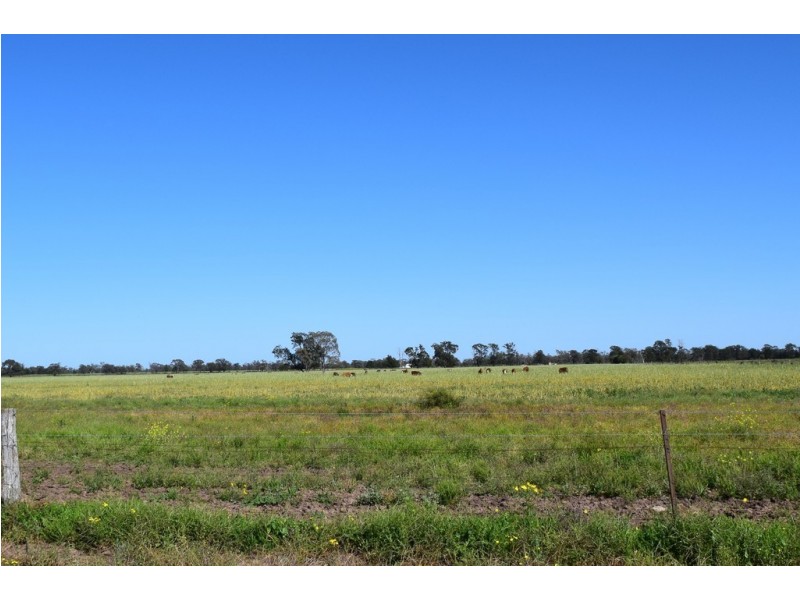 ” Lee Three “, Meandarra QLD 4422