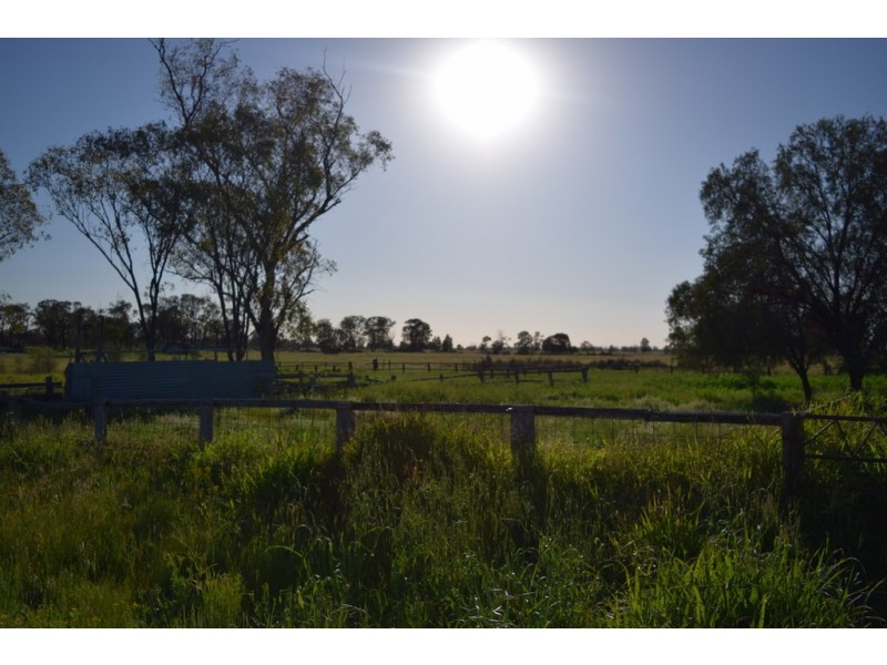 ” Lee Three “, Meandarra QLD 4422