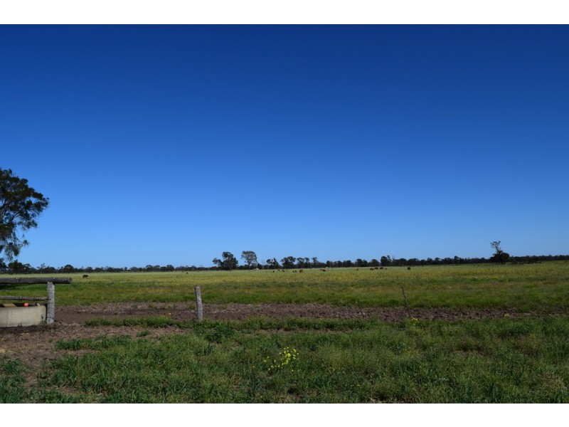 ” Lee Three “, Meandarra QLD 4422