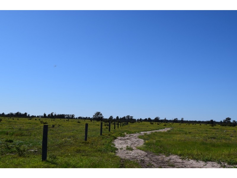 ” Lee Three “, Meandarra QLD 4422