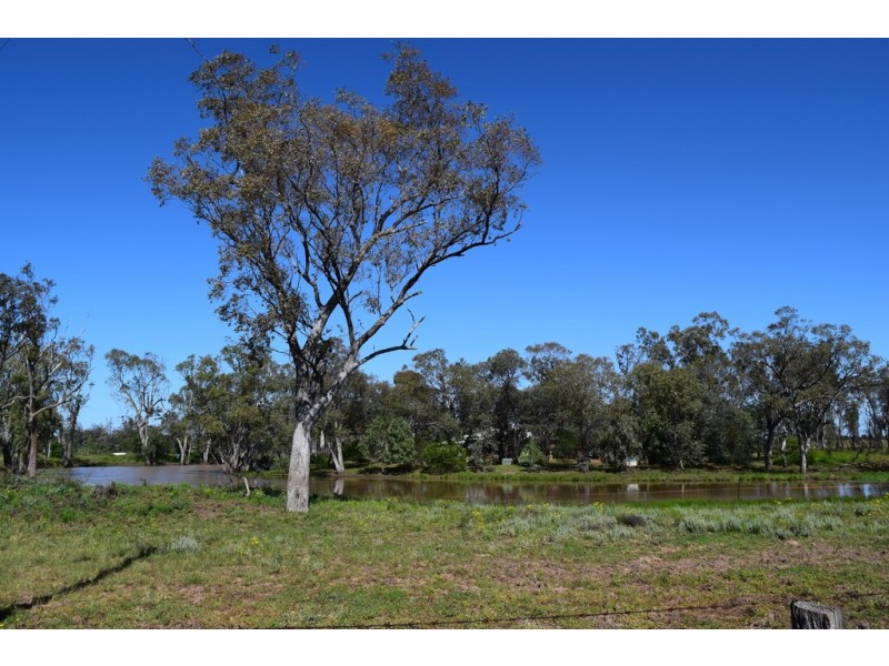 ” Lee Three “, Meandarra QLD 4422