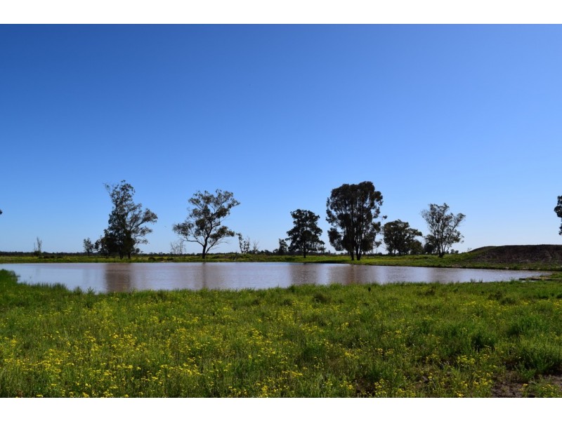 ” Lee Three “, Meandarra QLD 4422