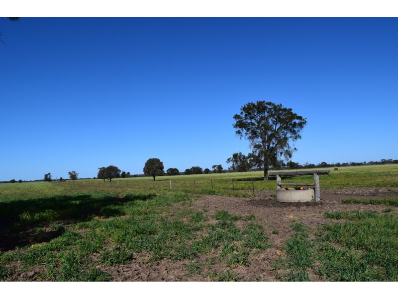 ” Lee Three “, Meandarra QLD 4422