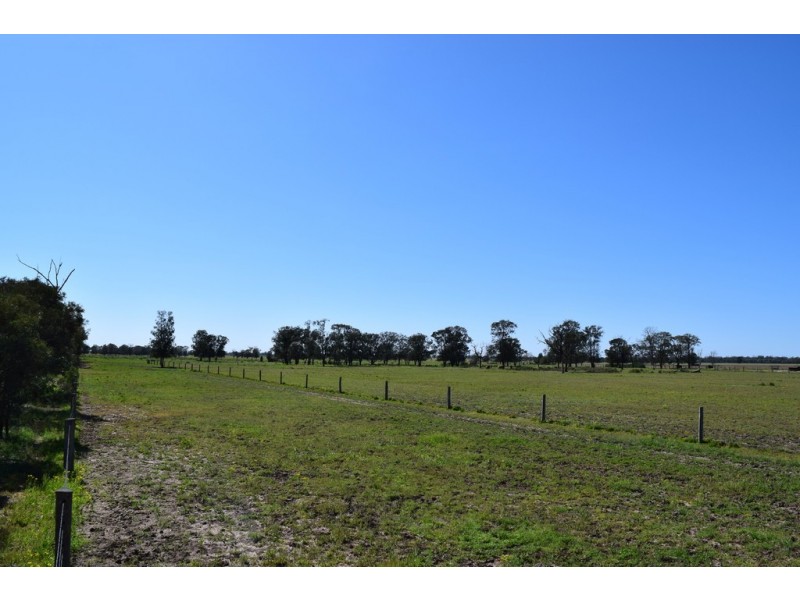 ” Lee Three “, Meandarra QLD 4422