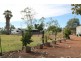 74 Watson Street, Cunnamulla QLD 4490