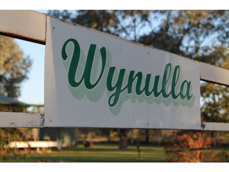 74 Watson Street, Cunnamulla QLD 4490