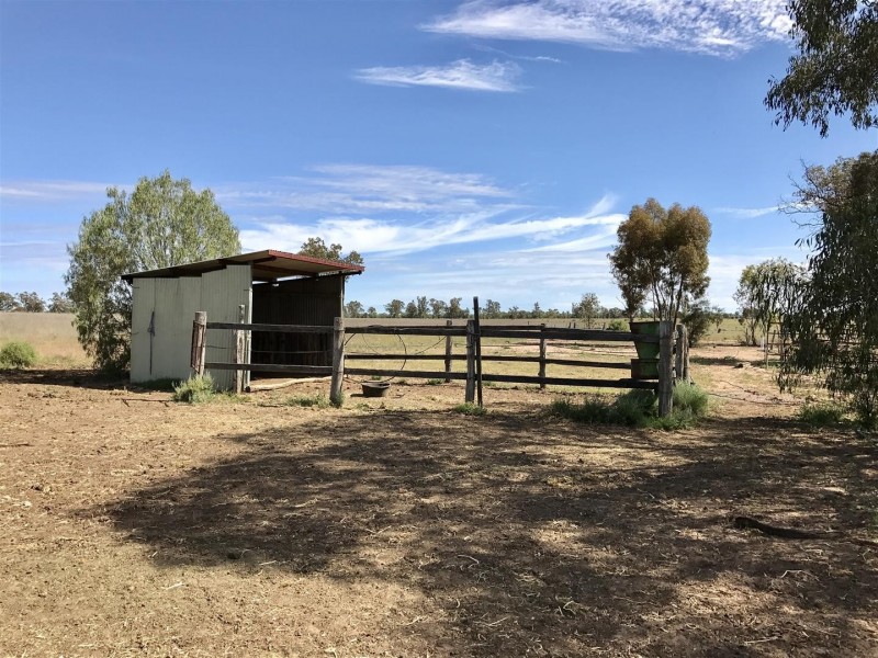 574 Dargal Road, Roma QLD 4455