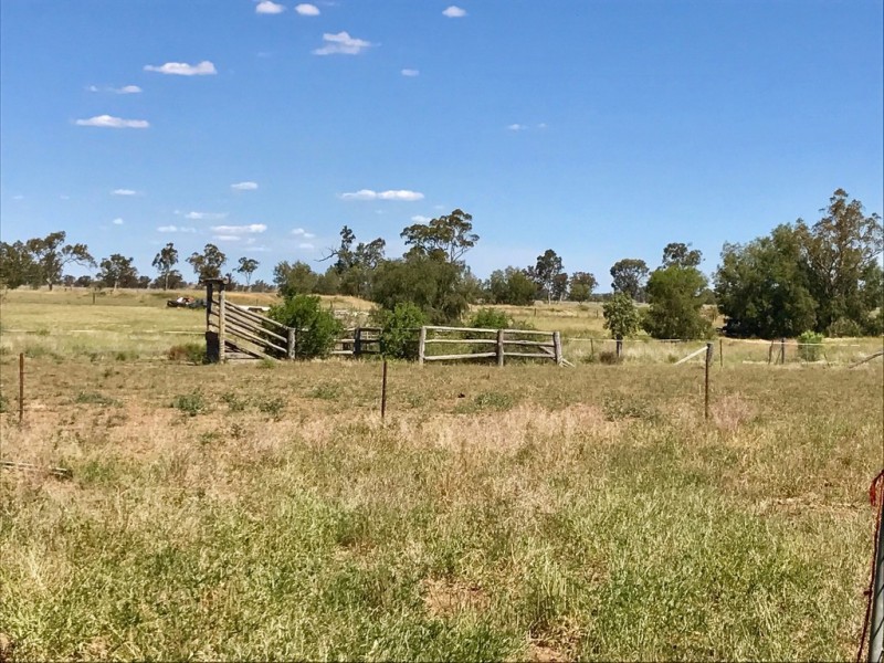 318 Roma Downs Road, Roma QLD 4455