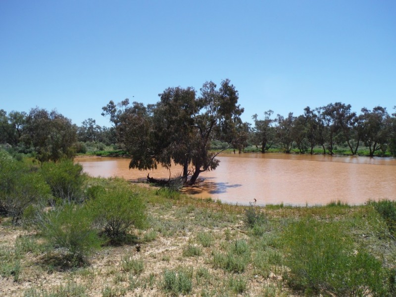 ” Coparella”, Quilpie QLD 4480