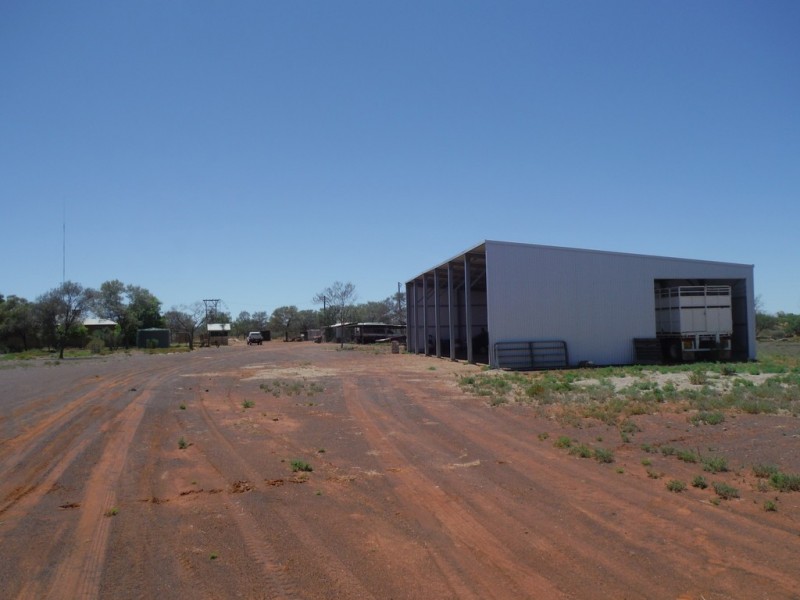 ” Coparella”, Quilpie QLD 4480