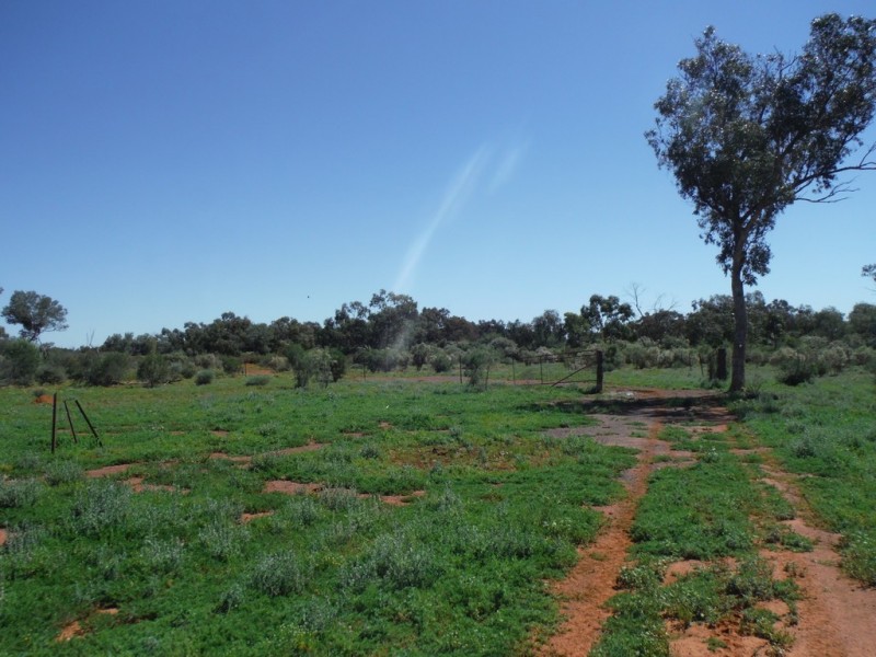 ” Coparella”, Quilpie QLD 4480
