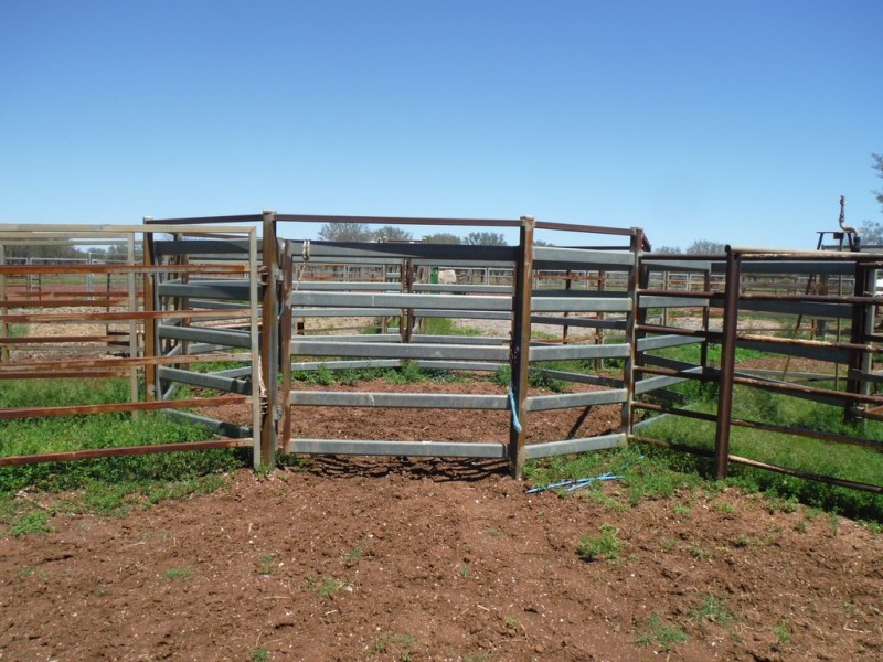 ” Coparella”, Quilpie QLD 4480