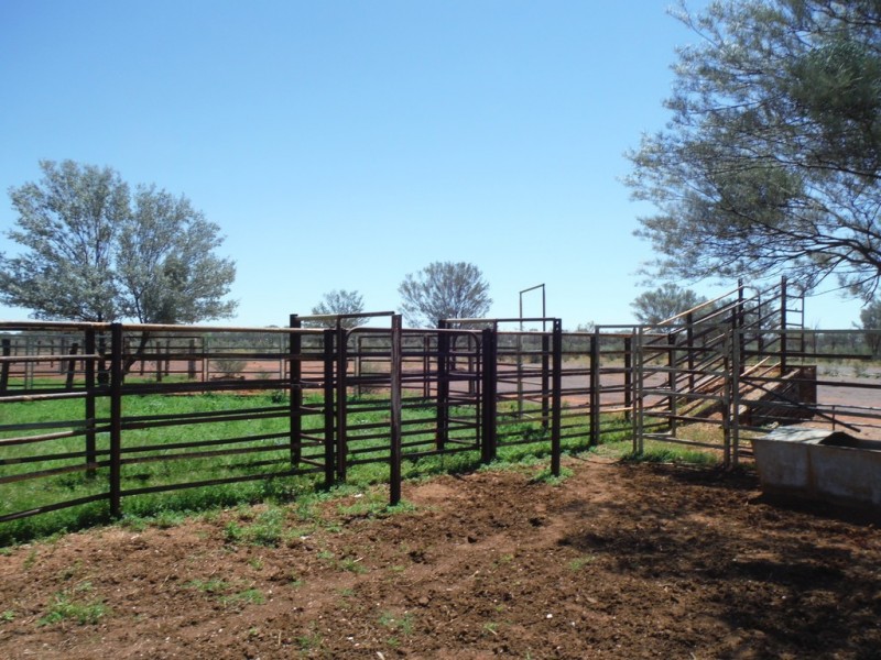 ” Coparella”, Quilpie QLD 4480