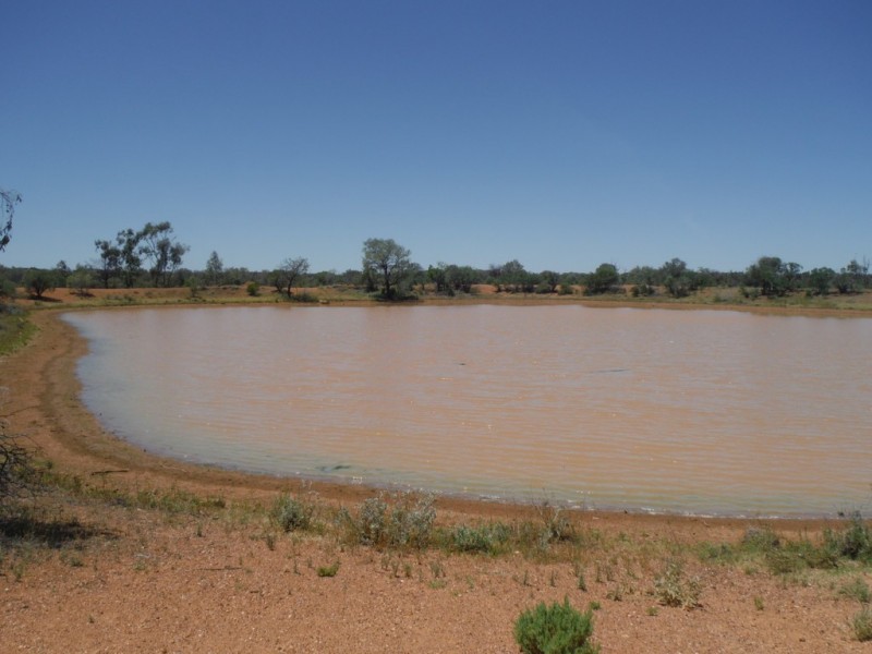 ” Coparella”, Quilpie QLD 4480