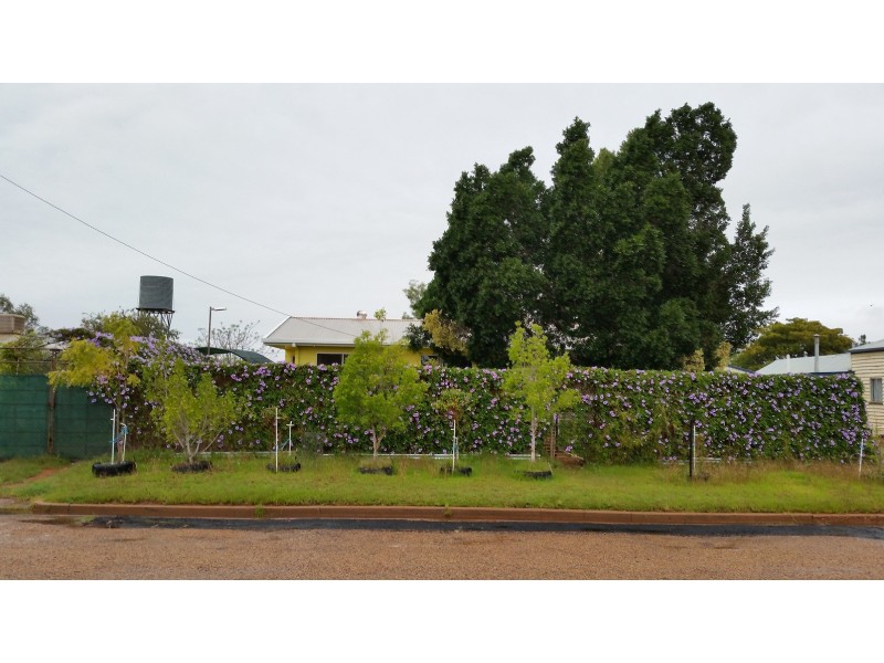 54 Quarrion Street, Quilpie QLD 4480