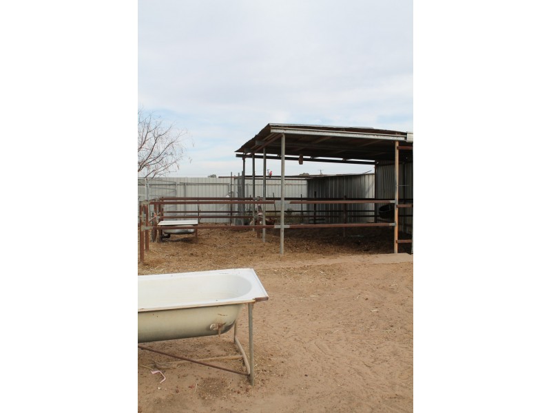 86 Emma Street, Cunnamulla QLD 4490