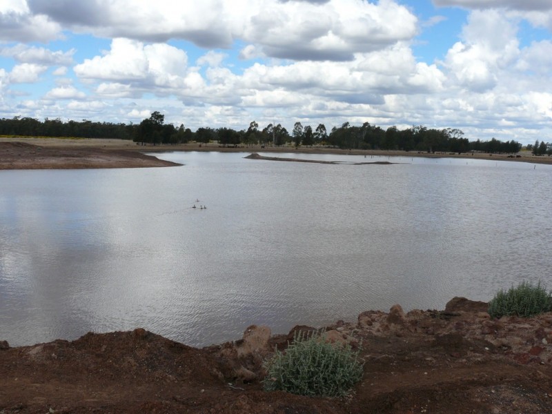 ” Hawthorne “, Dulacca QLD 4425