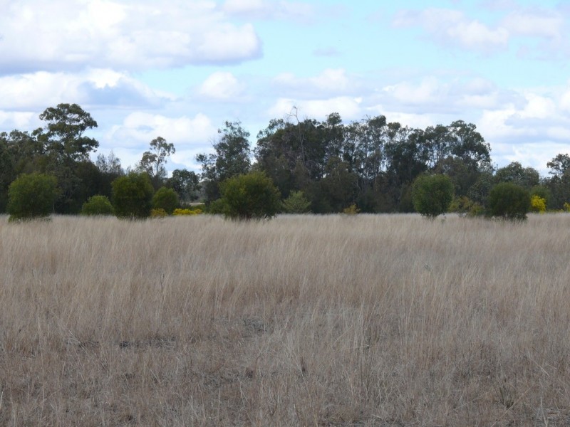 ” Hawthorne “, Dulacca QLD 4425