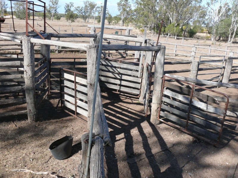 ” Hawthorne “, Dulacca QLD 4425