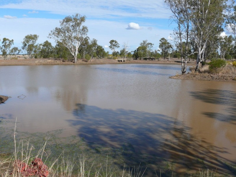 ” Hawthorne “, Dulacca QLD 4425