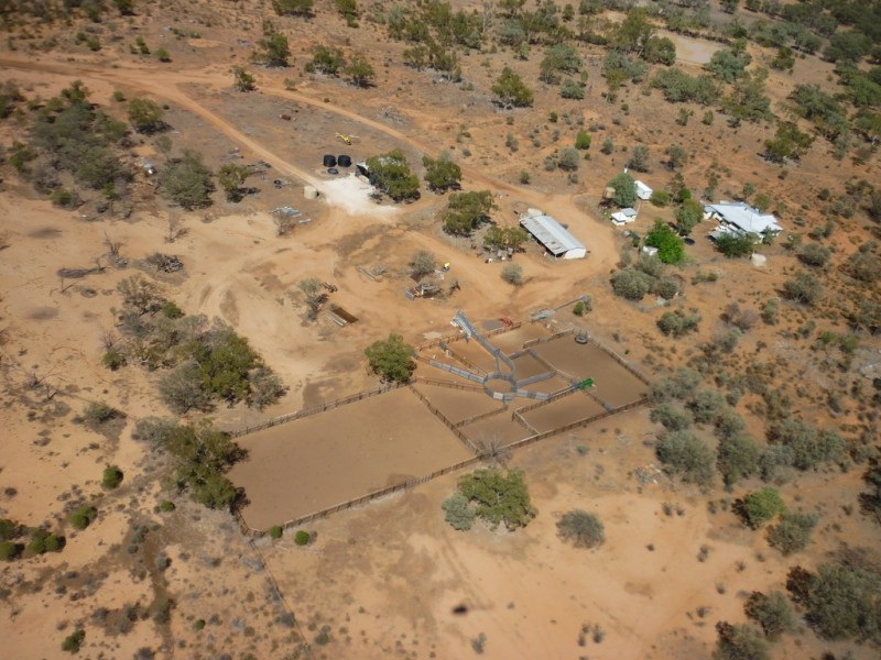 ” Mogera/Hoomooloo “, Quilpie QLD 4480