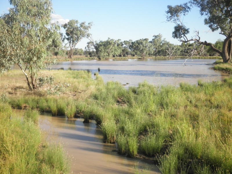 ” Mogera/Hoomooloo “, Quilpie QLD 4480