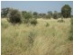 ” Mogera/Hoomooloo “, Quilpie QLD 4480