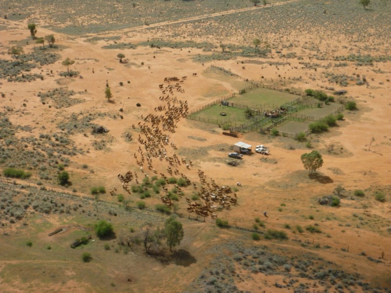 ” Mogera/Hoomooloo “, Quilpie QLD 4480