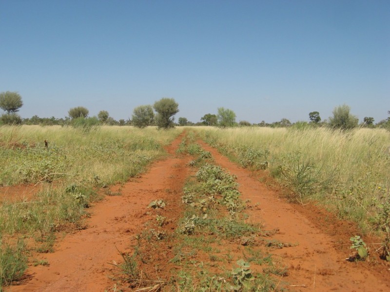 ” Mogera/Hoomooloo “, Quilpie QLD 4480