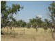 ” Mogera/Hoomooloo “, Quilpie QLD 4480