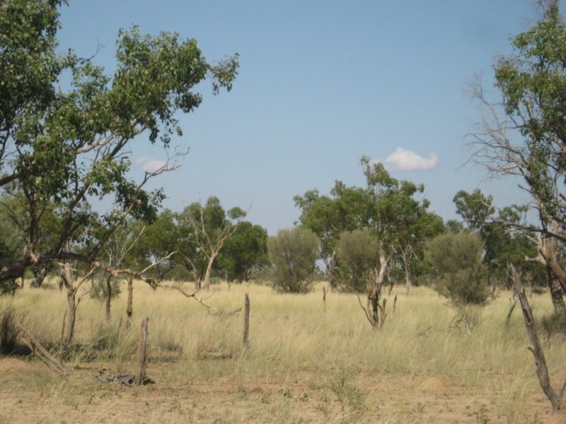 ” Mogera/Hoomooloo “, Quilpie QLD 4480