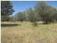 ” Mogera/Hoomooloo “, Quilpie QLD 4480