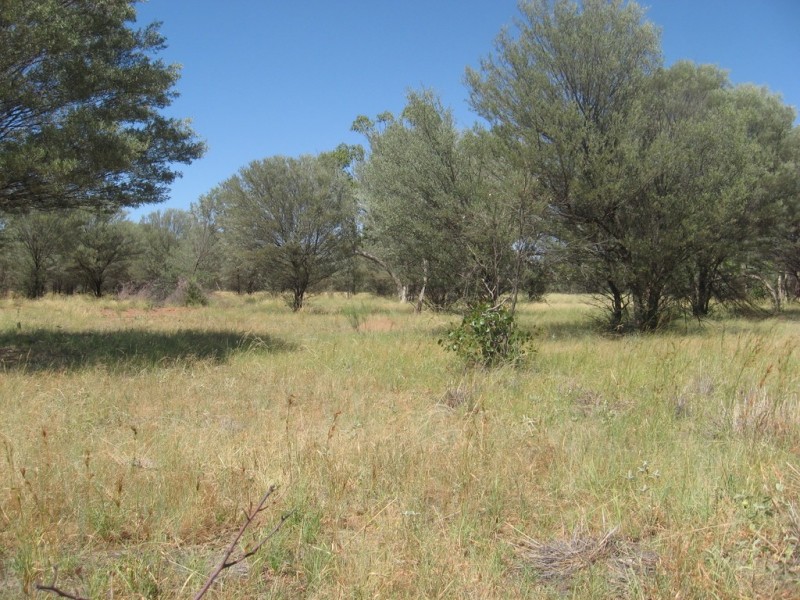 ” Mogera/Hoomooloo “, Quilpie QLD 4480