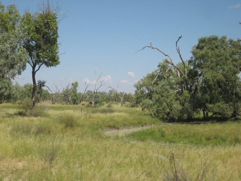 ” Mogera/Hoomooloo “, Quilpie QLD 4480