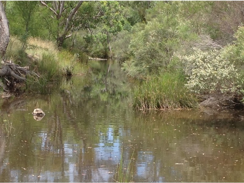 ” Pikedale “, Stanthorpe QLD 4380