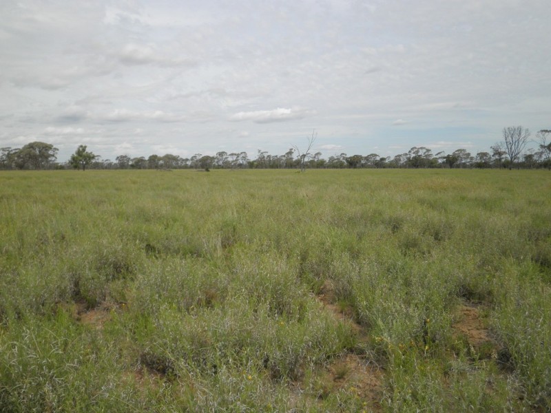” Coolagh “, Blackall QLD 4472