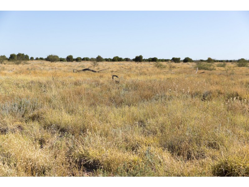 ” Coolagh “, Blackall QLD 4472