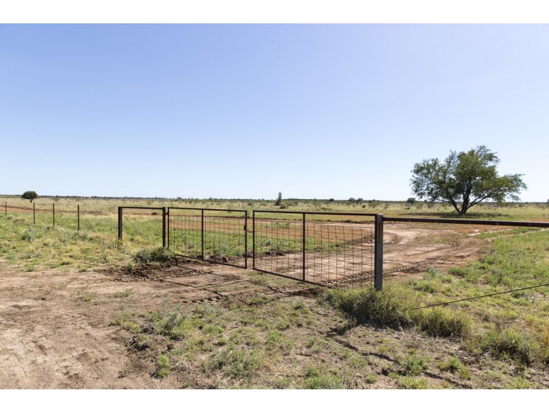 ” Coolagh “, Blackall QLD 4472