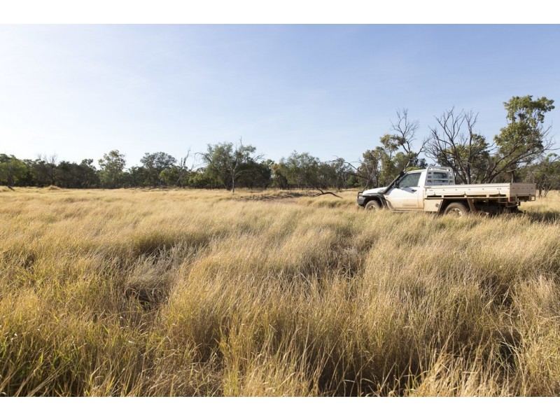 ” Coolagh “, Blackall QLD 4472