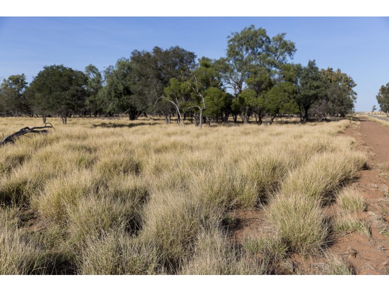 ” Coolagh “, Blackall QLD 4472