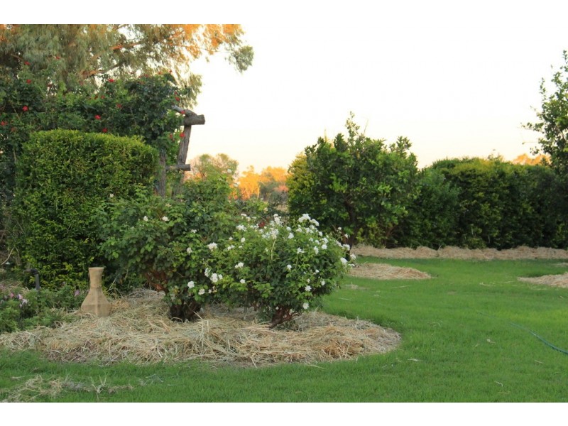 ” Coolagh “, Blackall QLD 4472